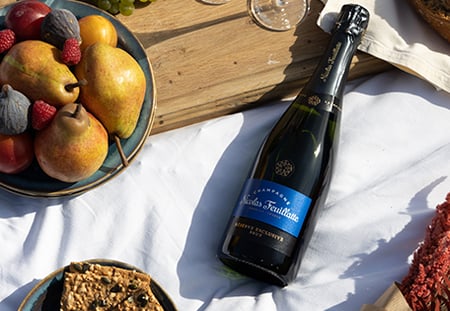 LandingHS_REX_flatlaypicnic LandingHS_REX_flatlaypicnic